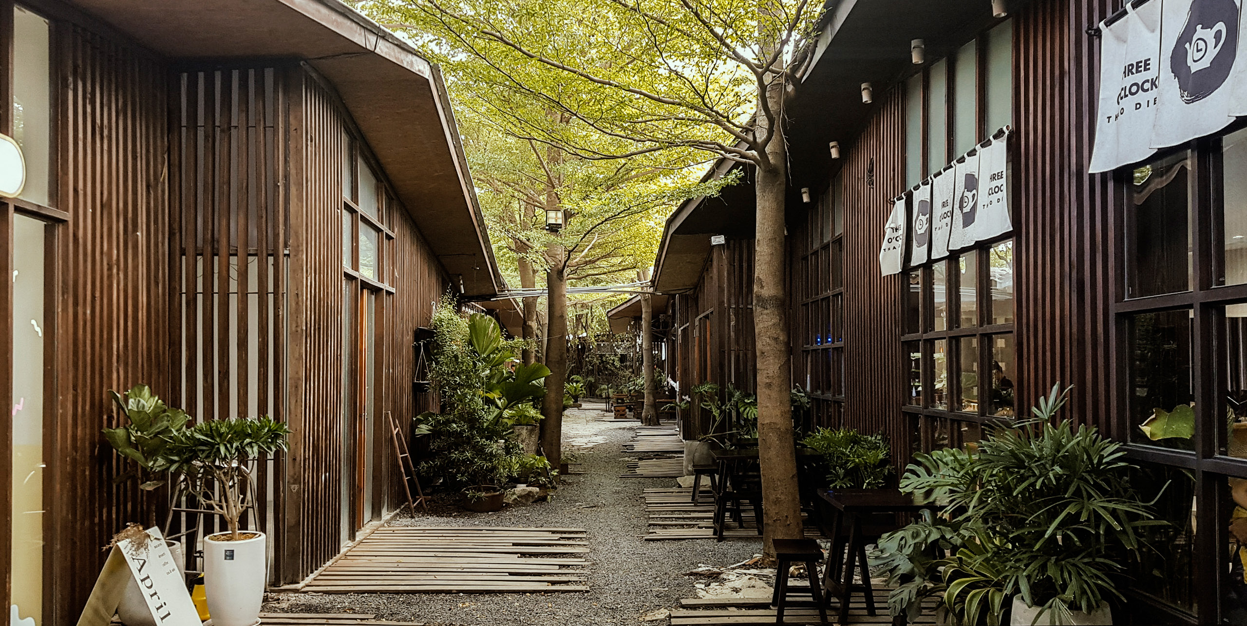OSHI TOWN