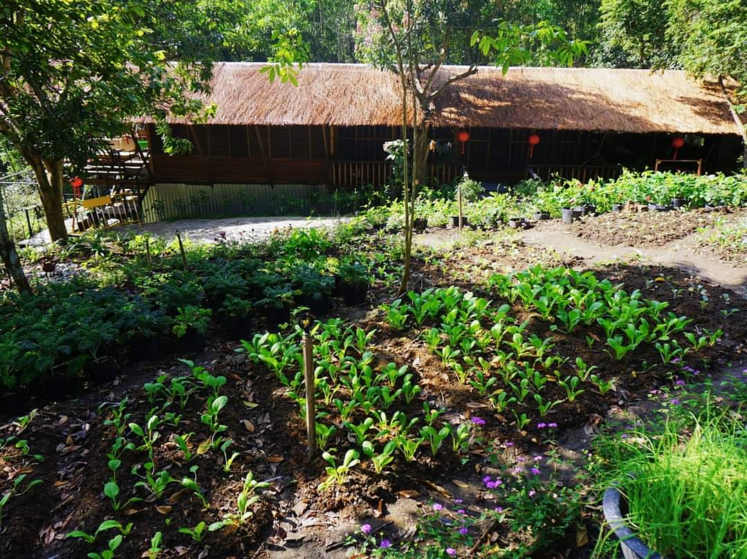 Farm House