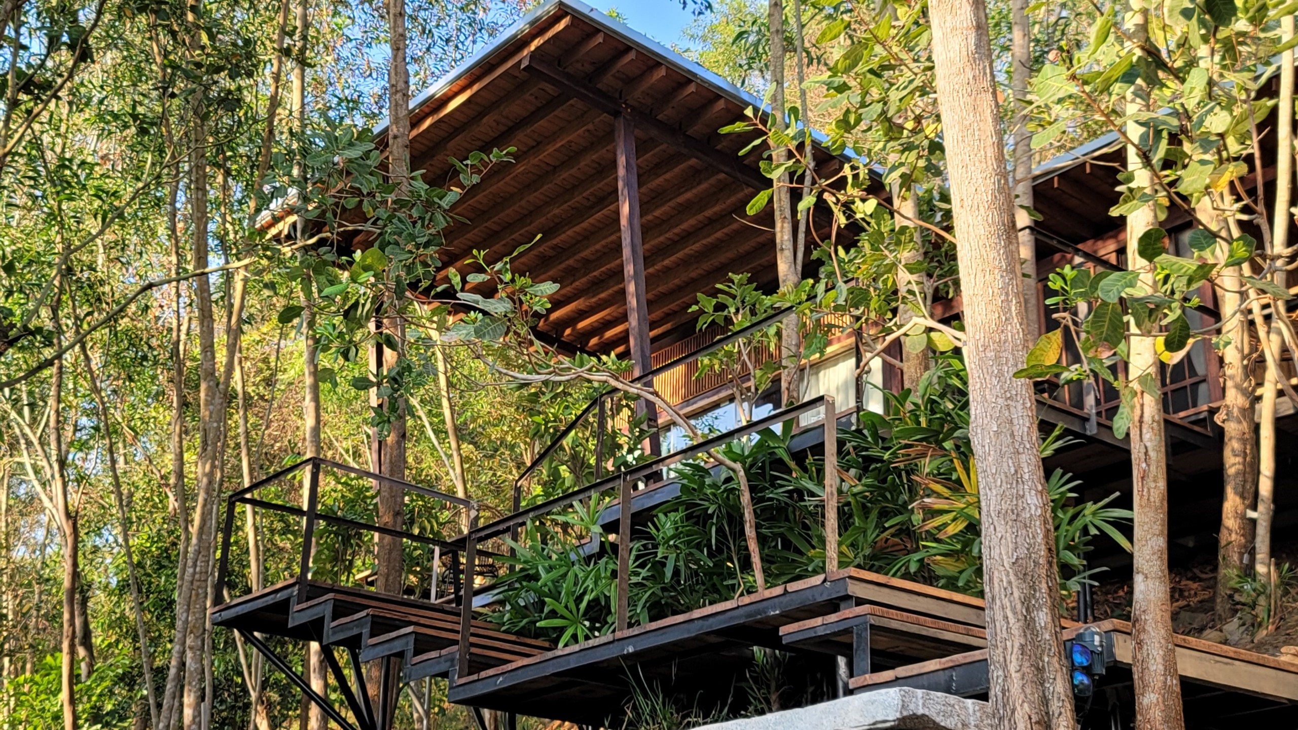 Palm Villa - Falls House