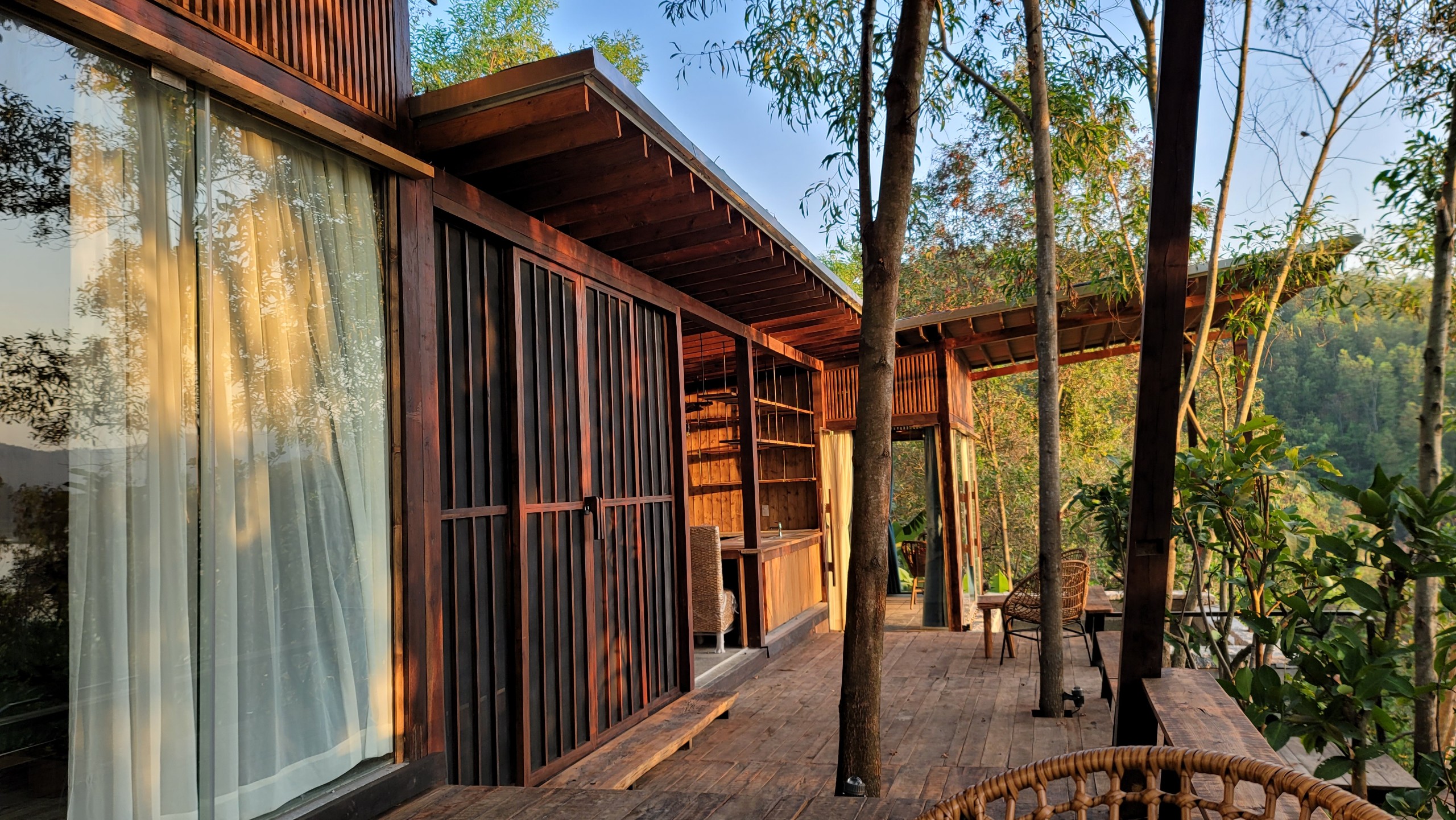 Tree House